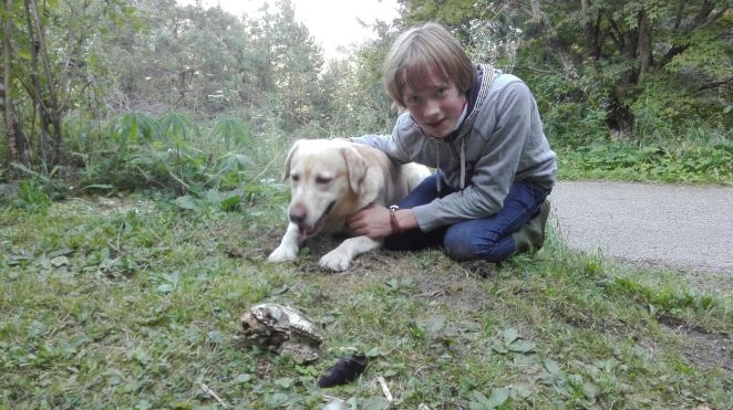 2016-10-06-photo-00000052