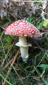 2016-10-24-photo-00000010