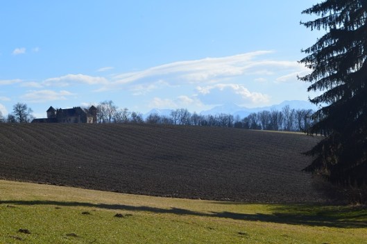 Zondagmiddagwandeling3-2