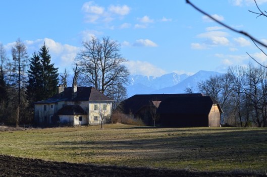 Zondagmiddagwandeling4-2