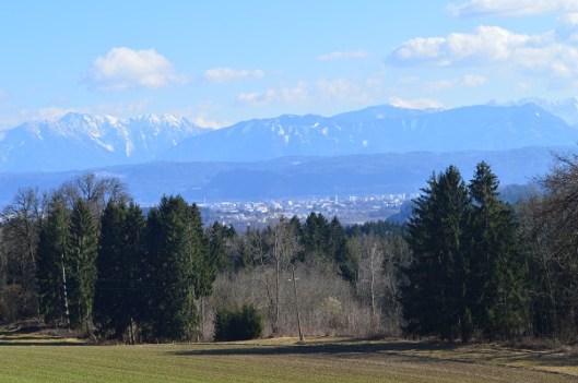 Zondagmiddagwandeling6-2