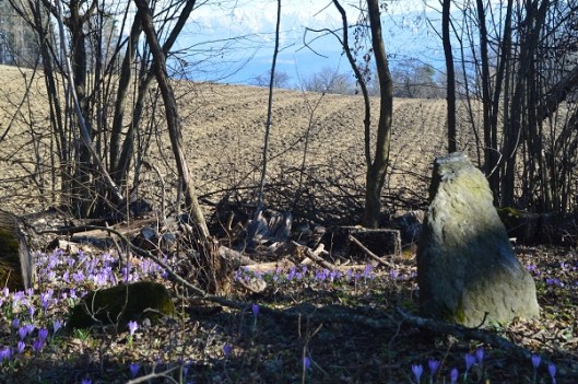 Zondagmiddagwandeling7-2