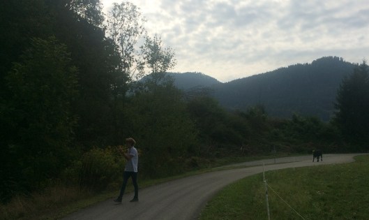 Achtervolgd... - kopie