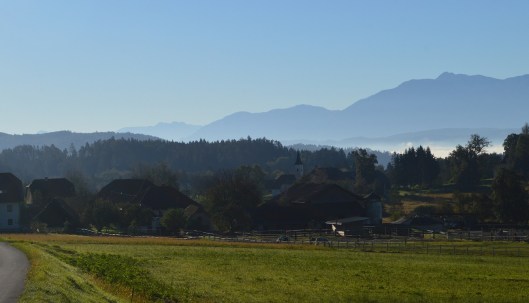 T6-Stegendorf-bijgesneden