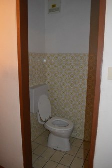 Fröhlich-toen-toilet